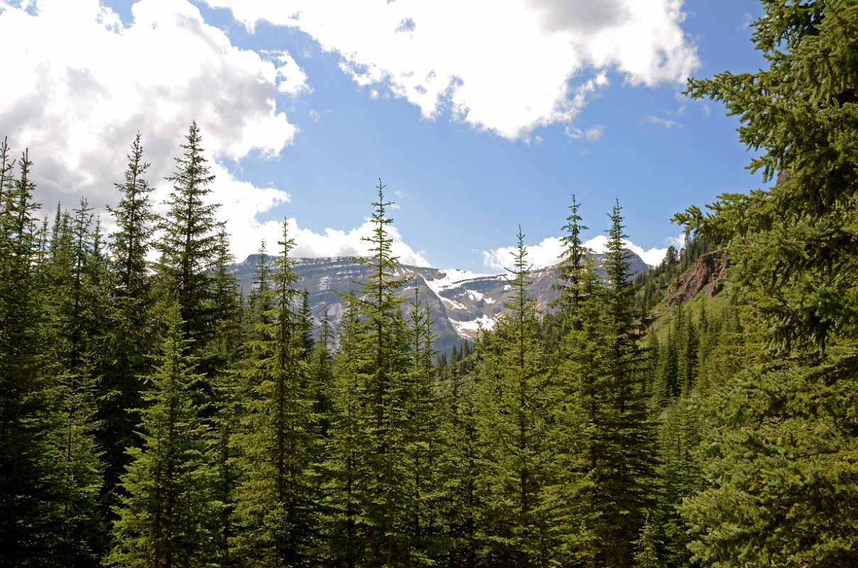 23 Descending From Citadel Pass Through Trees With Simpson Ridge On Hike To Mount Assiniboine